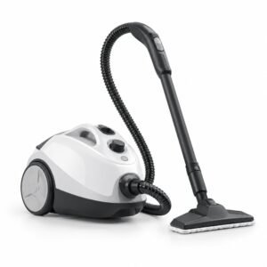 Steam cleaners